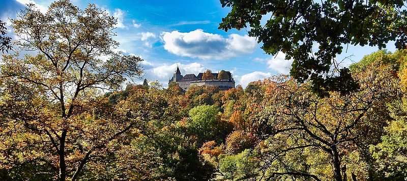 Das Bild zeigt die Veste Coburg um Sommer zwischen Bäumen.